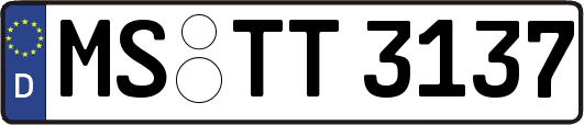 MS-TT3137