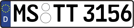 MS-TT3156