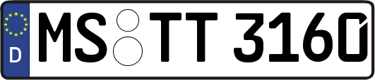 MS-TT3160