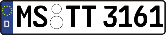 MS-TT3161