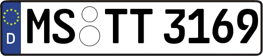 MS-TT3169
