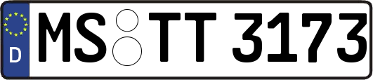 MS-TT3173