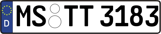 MS-TT3183