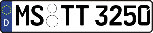 MS-TT3250