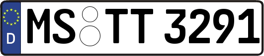 MS-TT3291