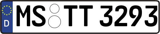 MS-TT3293