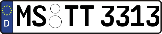 MS-TT3313