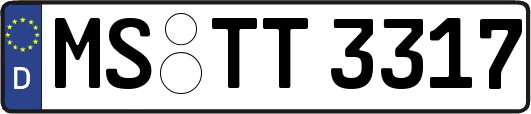 MS-TT3317