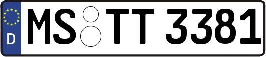 MS-TT3381