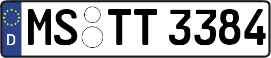 MS-TT3384