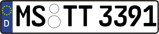 MS-TT3391