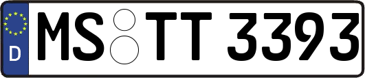 MS-TT3393