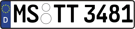 MS-TT3481