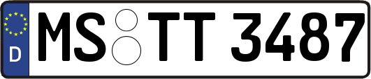 MS-TT3487