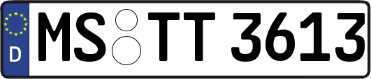 MS-TT3613