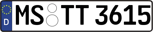 MS-TT3615