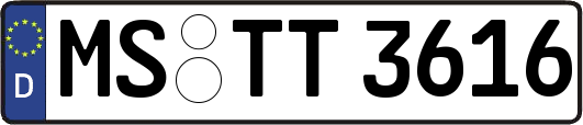 MS-TT3616