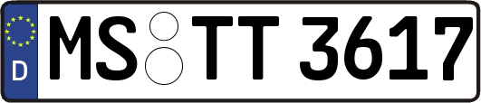 MS-TT3617