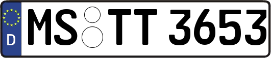 MS-TT3653
