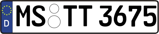 MS-TT3675