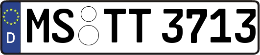 MS-TT3713