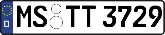 MS-TT3729