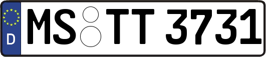 MS-TT3731