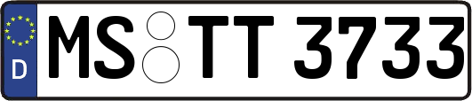 MS-TT3733