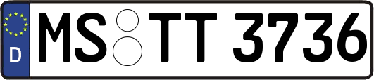 MS-TT3736