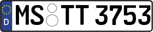 MS-TT3753