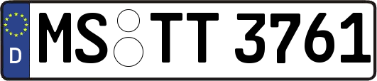 MS-TT3761