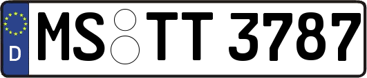 MS-TT3787