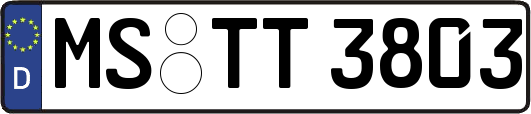 MS-TT3803