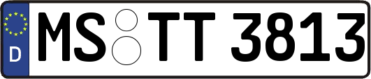MS-TT3813