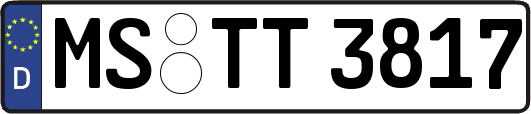 MS-TT3817