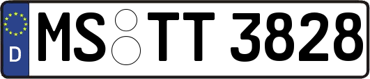 MS-TT3828