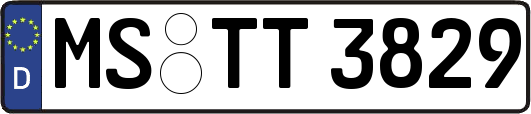 MS-TT3829