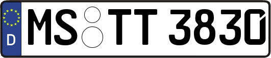 MS-TT3830