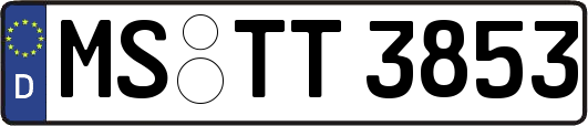 MS-TT3853