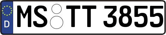 MS-TT3855