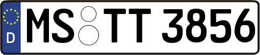 MS-TT3856
