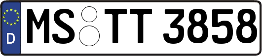 MS-TT3858