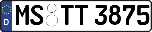 MS-TT3875