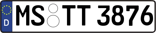MS-TT3876