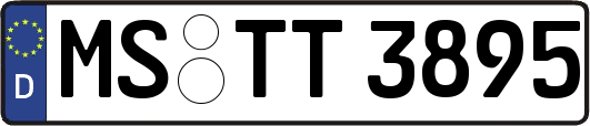 MS-TT3895