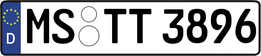 MS-TT3896