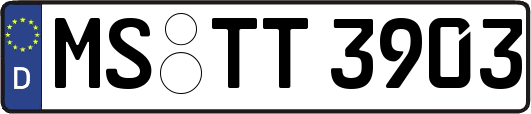 MS-TT3903