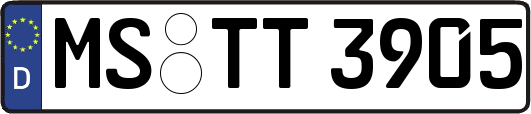 MS-TT3905