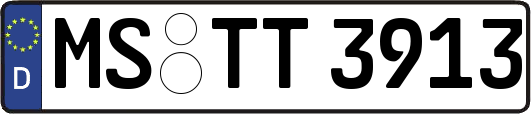 MS-TT3913