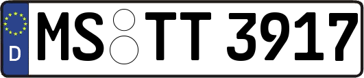 MS-TT3917
